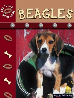 Bertrand.pt - Beagles