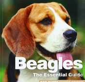 Beagles