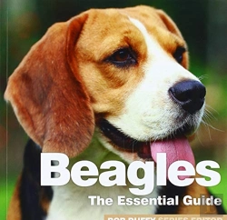Bertrand.pt - Beagles
