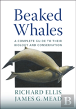 Beaked Whales