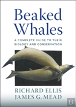 Bertrand.pt - Beaked Whales
