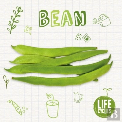 Bertrand.pt - Bean