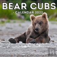 Bear Cubs Calendar 2022