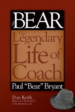 Bertrand.pt - Bear