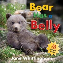 Bertrand.pt - Bear Has A Belly