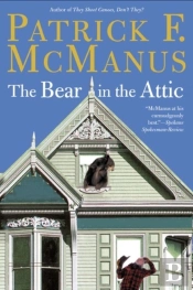 Bear In The Attic
