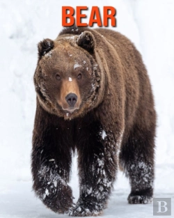 Bertrand.pt - Bear
