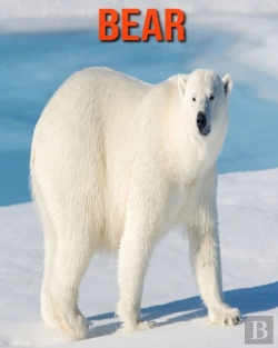 Bertrand.pt - Bear
