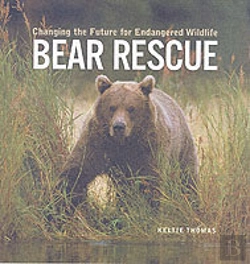 Bertrand.pt - Bear Rescue