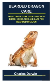 Bearded Dragon Care