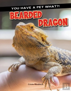 Bertrand.pt - Bearded Dragon