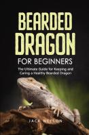 Bearded Dragon For Beginners