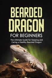 Bearded Dragon For Beginners