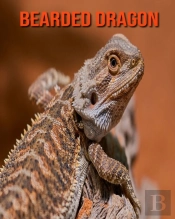 Bearded Dragon