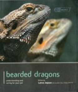 Bertrand.pt - Bearded Dragon - Pet Expert