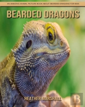 Bearded Dragons
