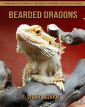 Bearded Dragons