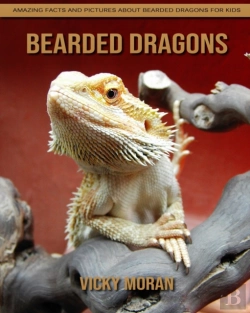 Bertrand.pt - Bearded Dragons
