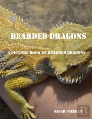Bearded Dragons Picture Book