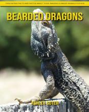 Bearded Dragons