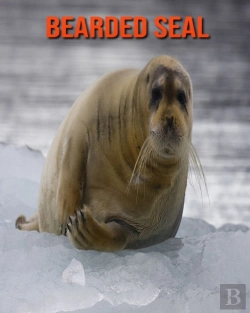 Bertrand.pt - Bearded Seal