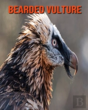 Bearded Vulture