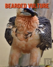 Bearded Vulture