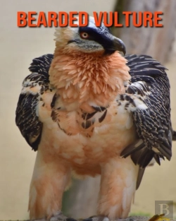 Bertrand.pt - Bearded Vulture