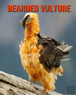 Bertrand.pt - Bearded Vulture