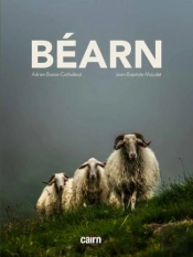Bearn
