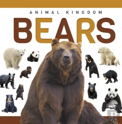 Bertrand.pt - Bears