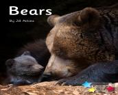 Bears