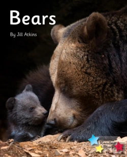 Bertrand.pt - Bears