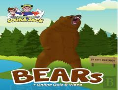 Bears