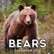 Bears Calendar 2022