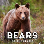 Bears Calendar 2022