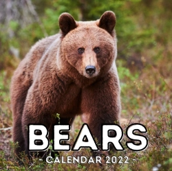 Bertrand.pt - Bears Calendar 2022