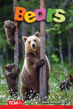 Bertrand.pt - Bears