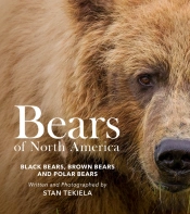 Bears Of North America