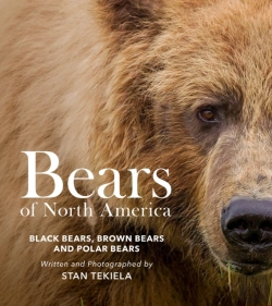 Bertrand.pt - Bears Of North America