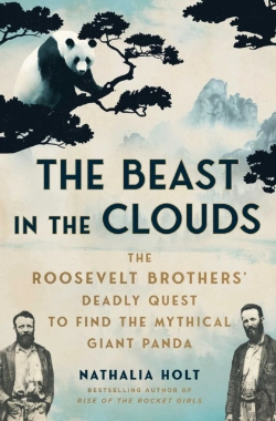 Bertrand.pt - Beast In The Clouds