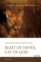 Beast Of Never, Cat Of God