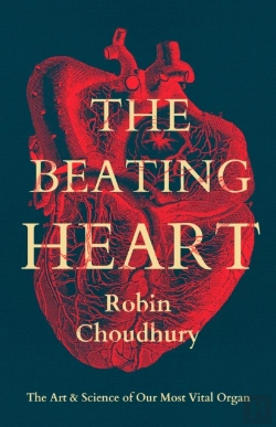 Bertrand.pt - Beating Heart