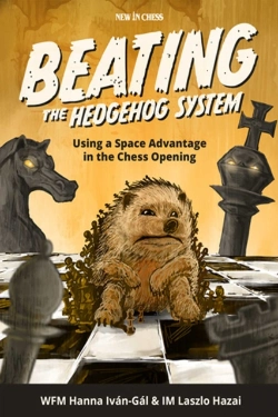 Bertrand.pt - Beating The Hedgehog System