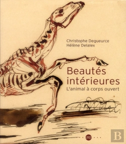 Bertrand.pt - Beautés Intérieures ; L'Animal À Corps Ouvert
