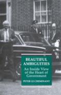 Beautiful Ambiguities