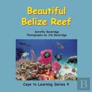 Beautiful Belize Reef