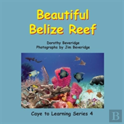 Bertrand.pt - Beautiful Belize Reef