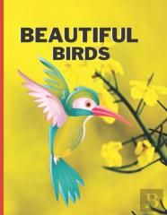 Beautiful Birds