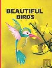 Beautiful Birds